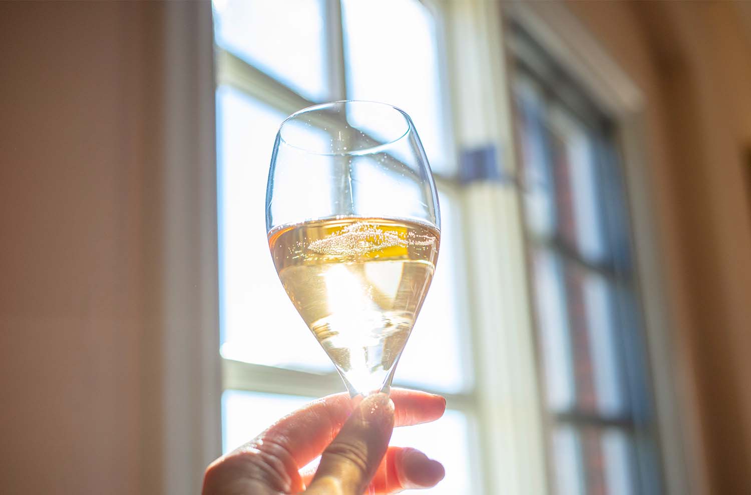 Person holding a glass of sparkling rose in the sunlight 