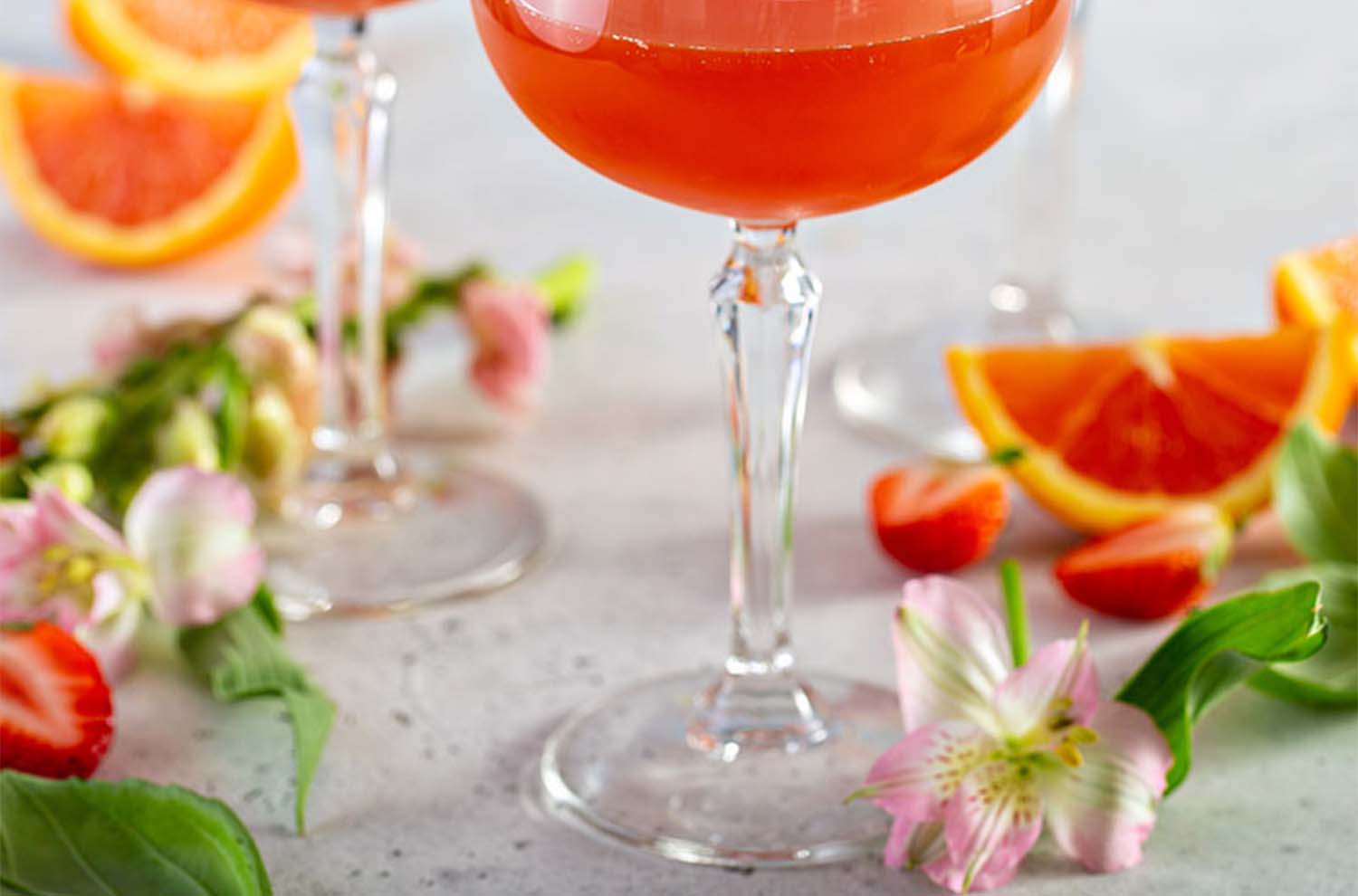 sparkling cocktail flutes with slices of blood oranges and strawberries