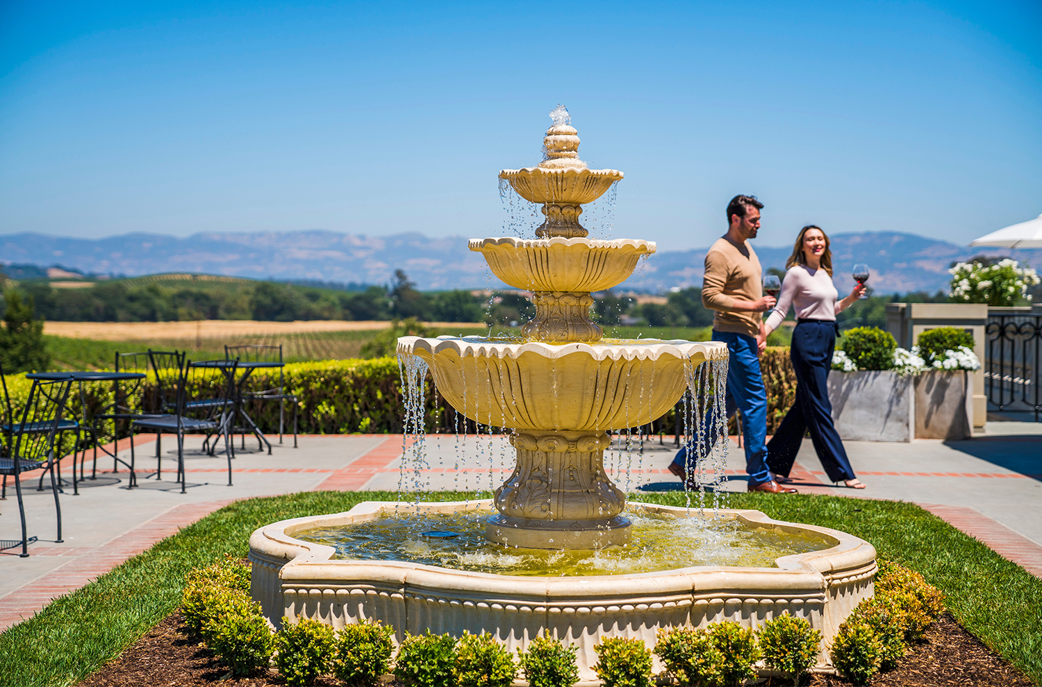 domaine carneros winery tour