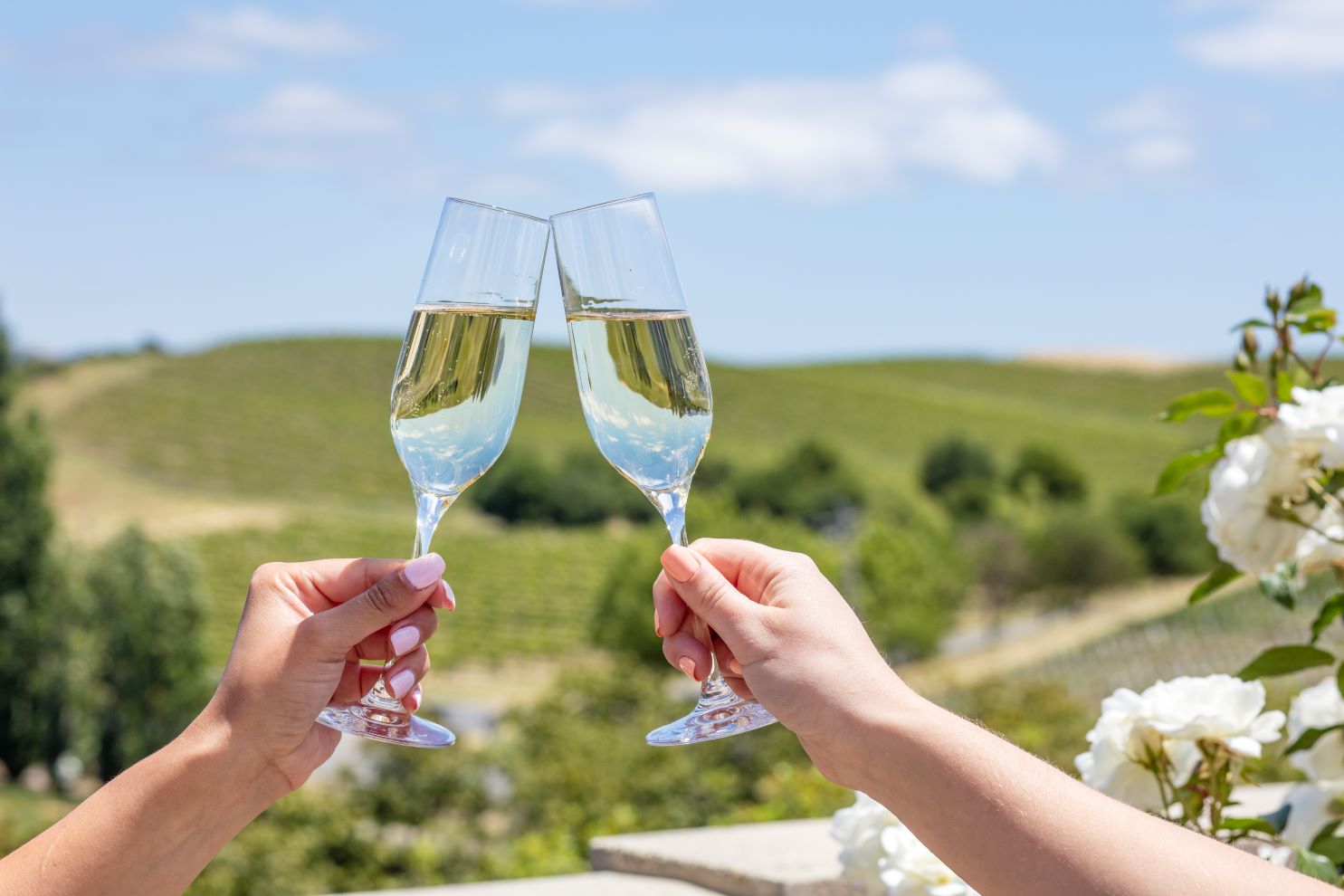 Two people toasting