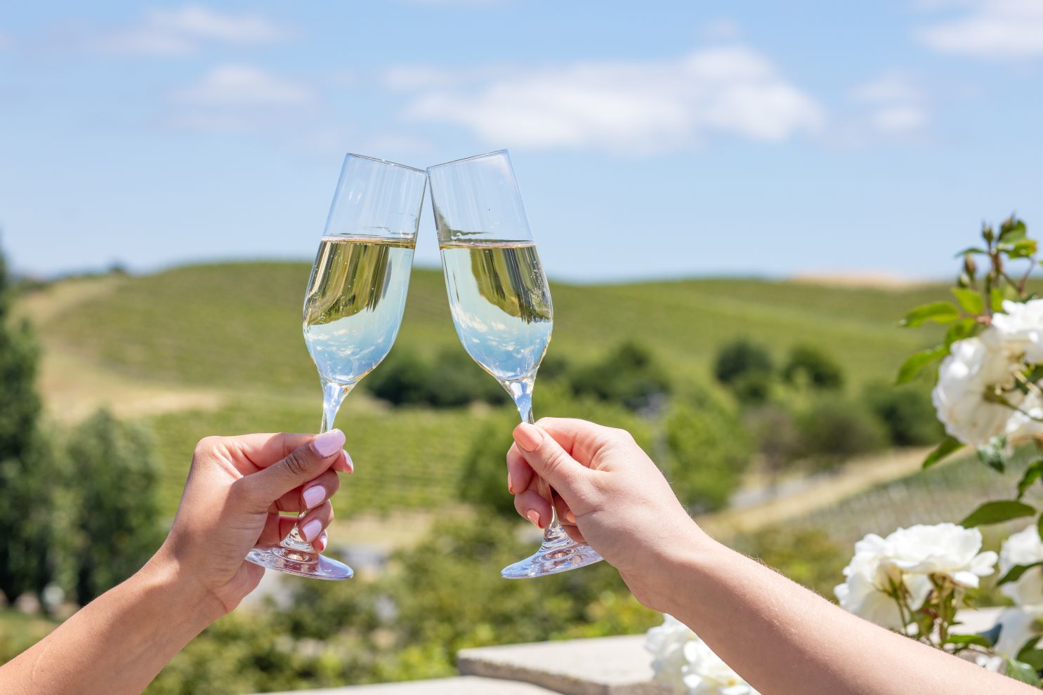 Two people toasting 